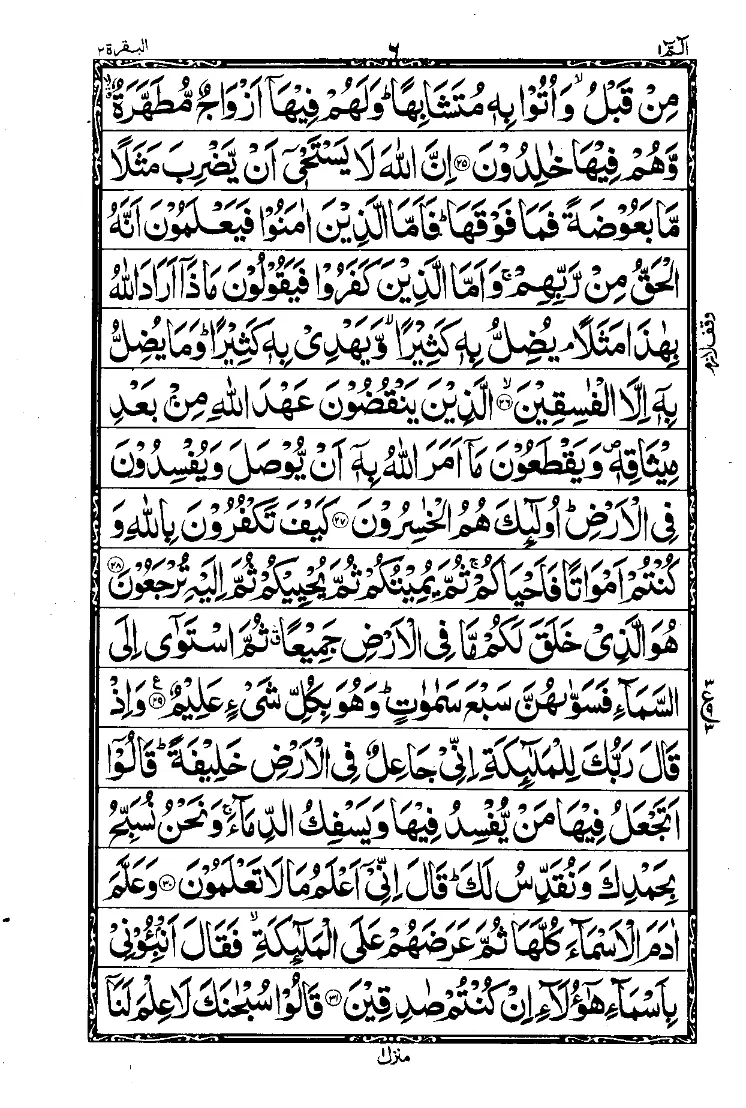 Para 1 Page 5