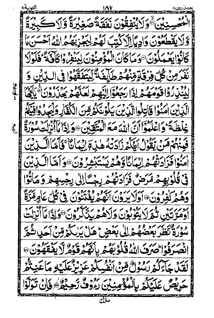 Para 11 Page 5