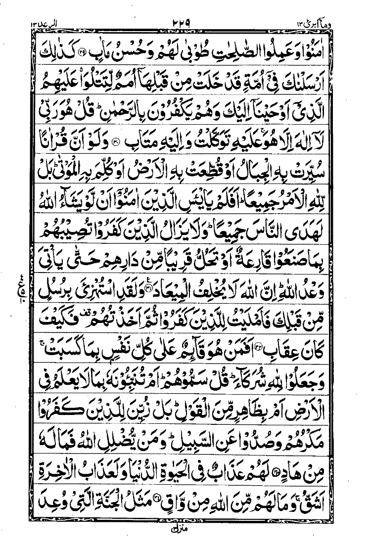 Para 13 Page 11