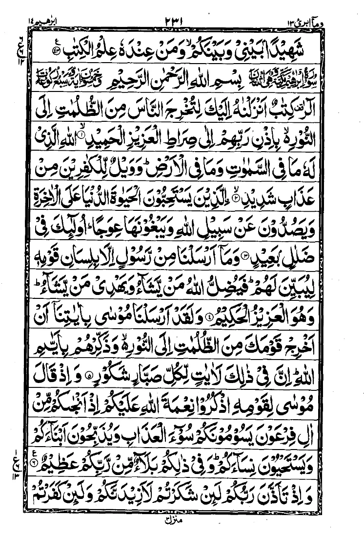 Para 13 Page 13