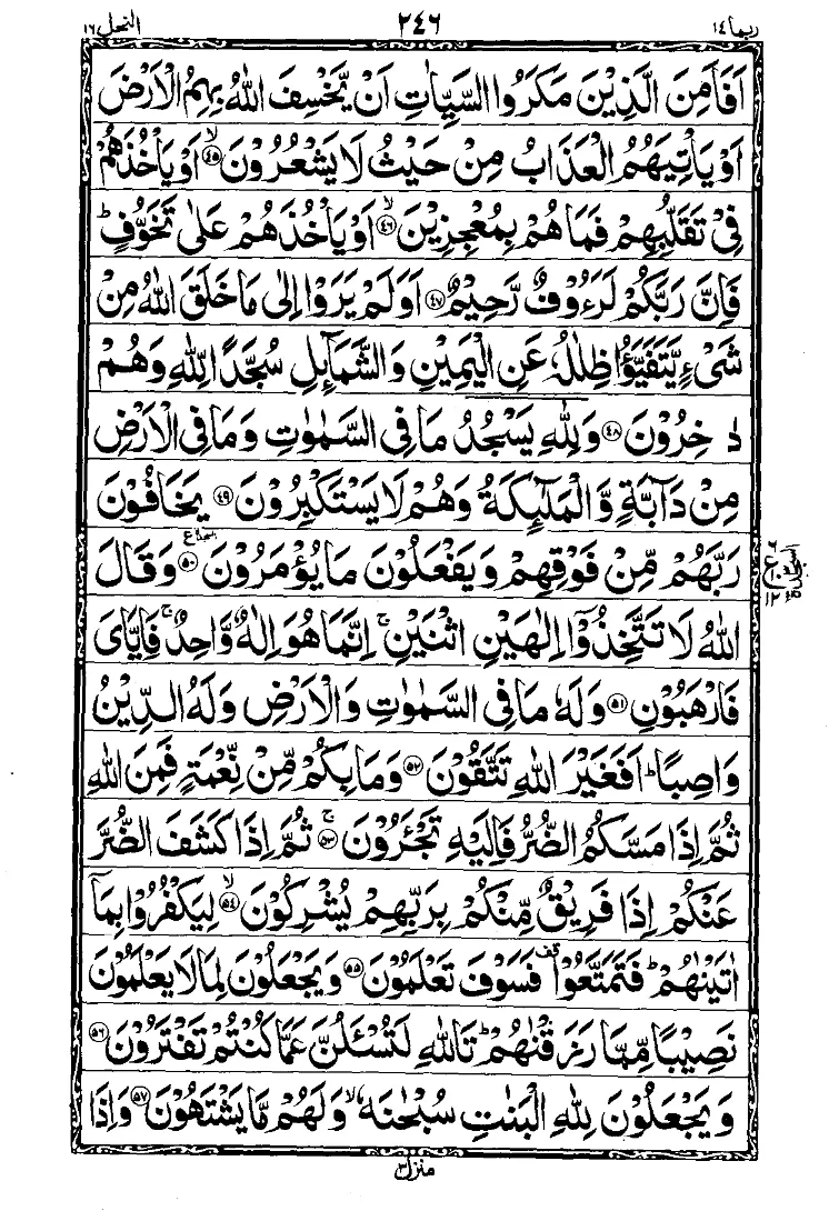 Para 14 Page 10