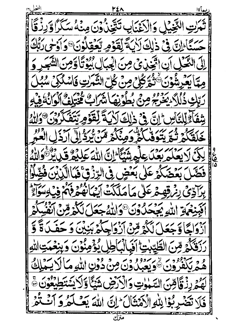 Para 14 Page 12
