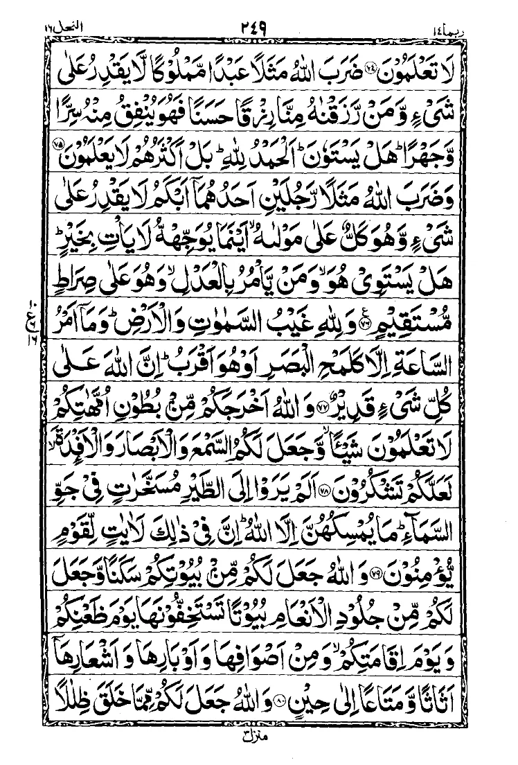 Para 14 Page 13