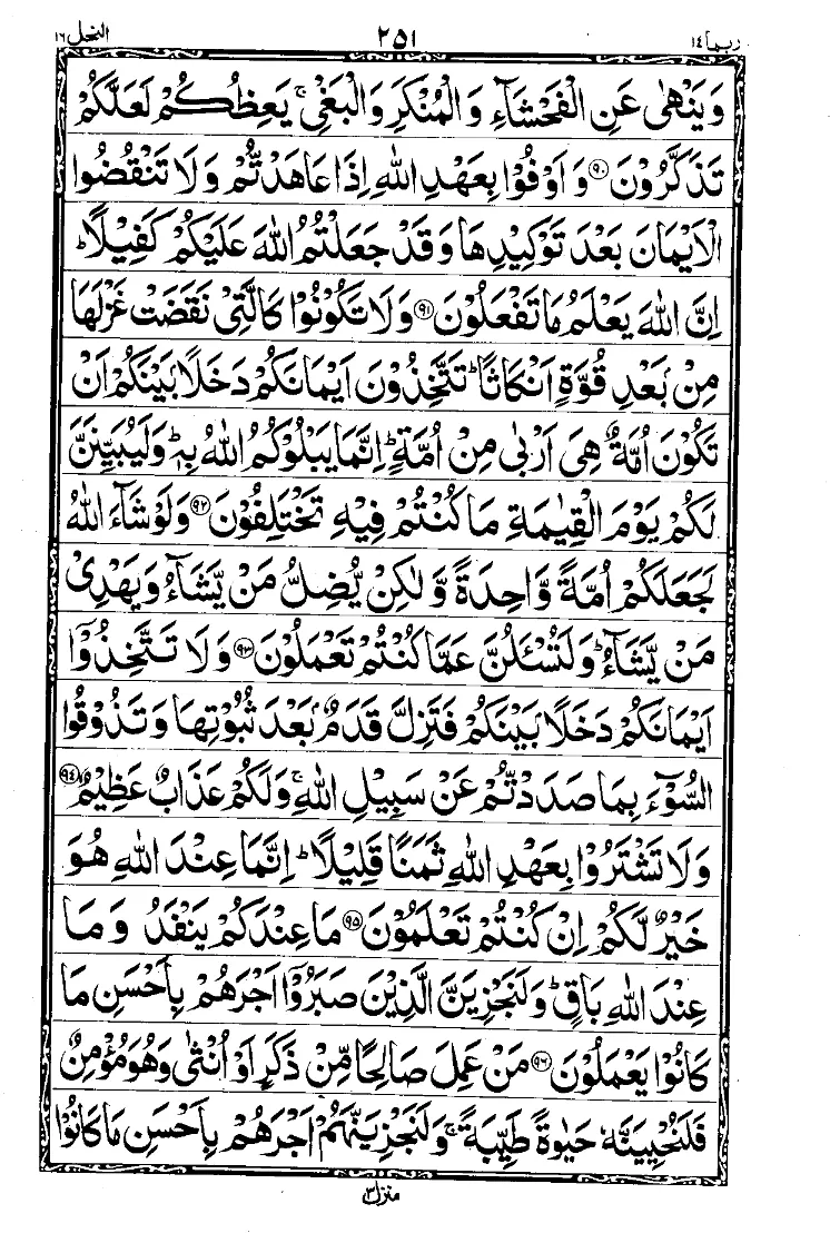 Para 14 Page 15