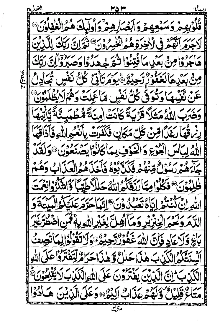 Para 14 Page 17