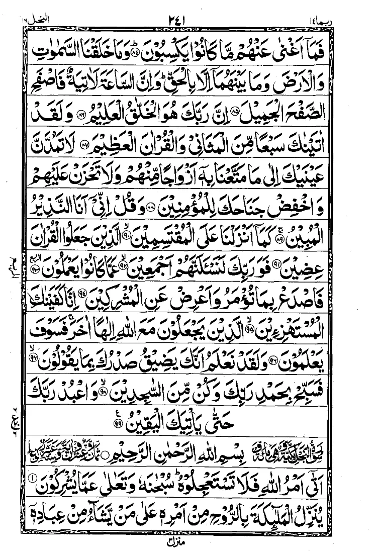 Para 14 Page 5