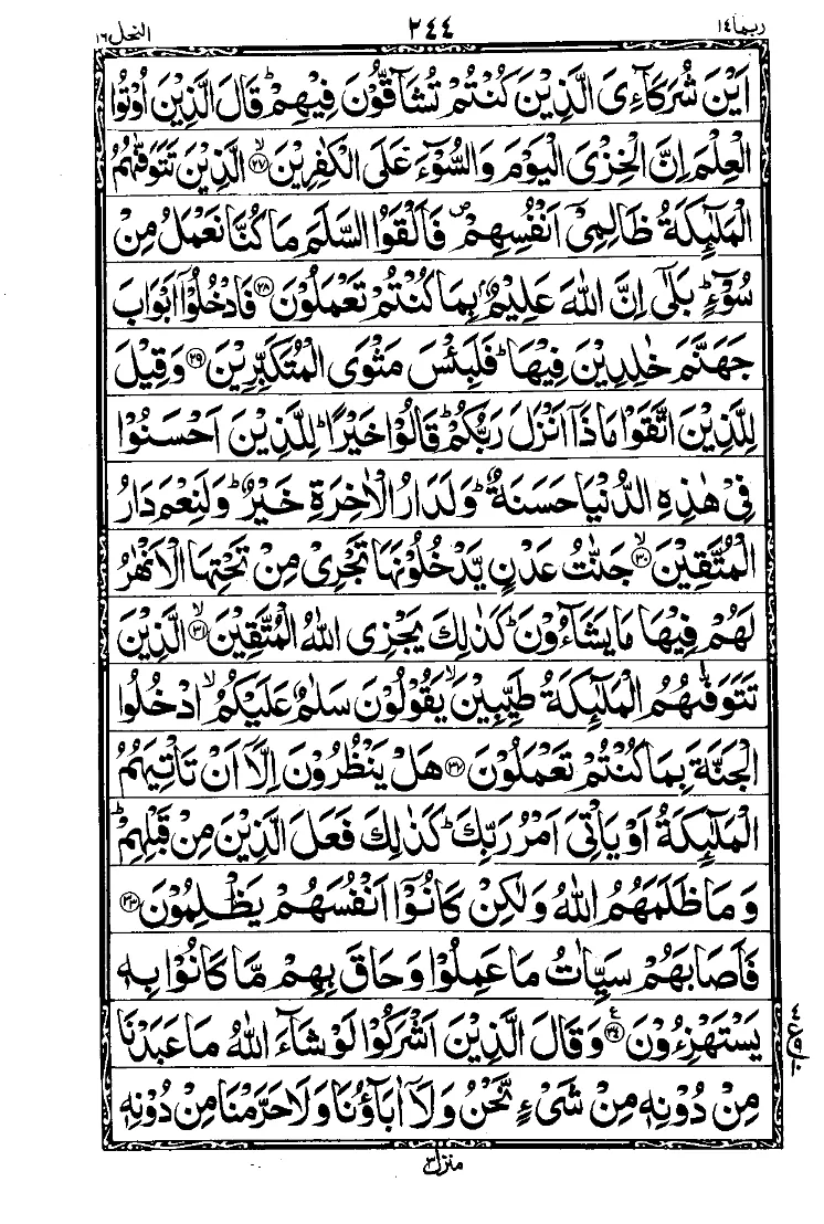 Para 14 Page 8