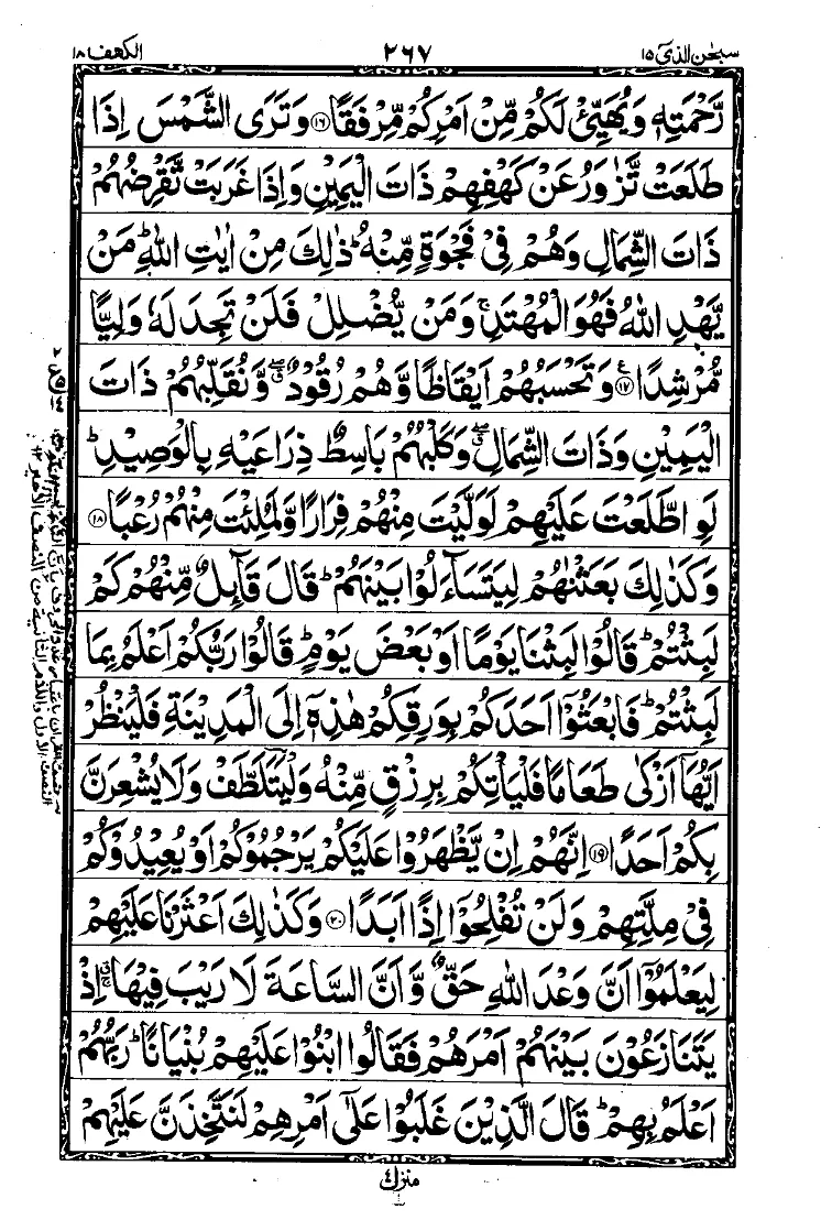 Para 15 Page 13