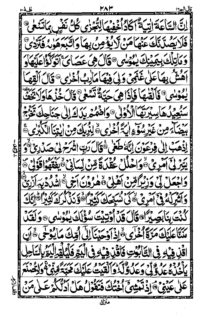 Para 16 Page 11