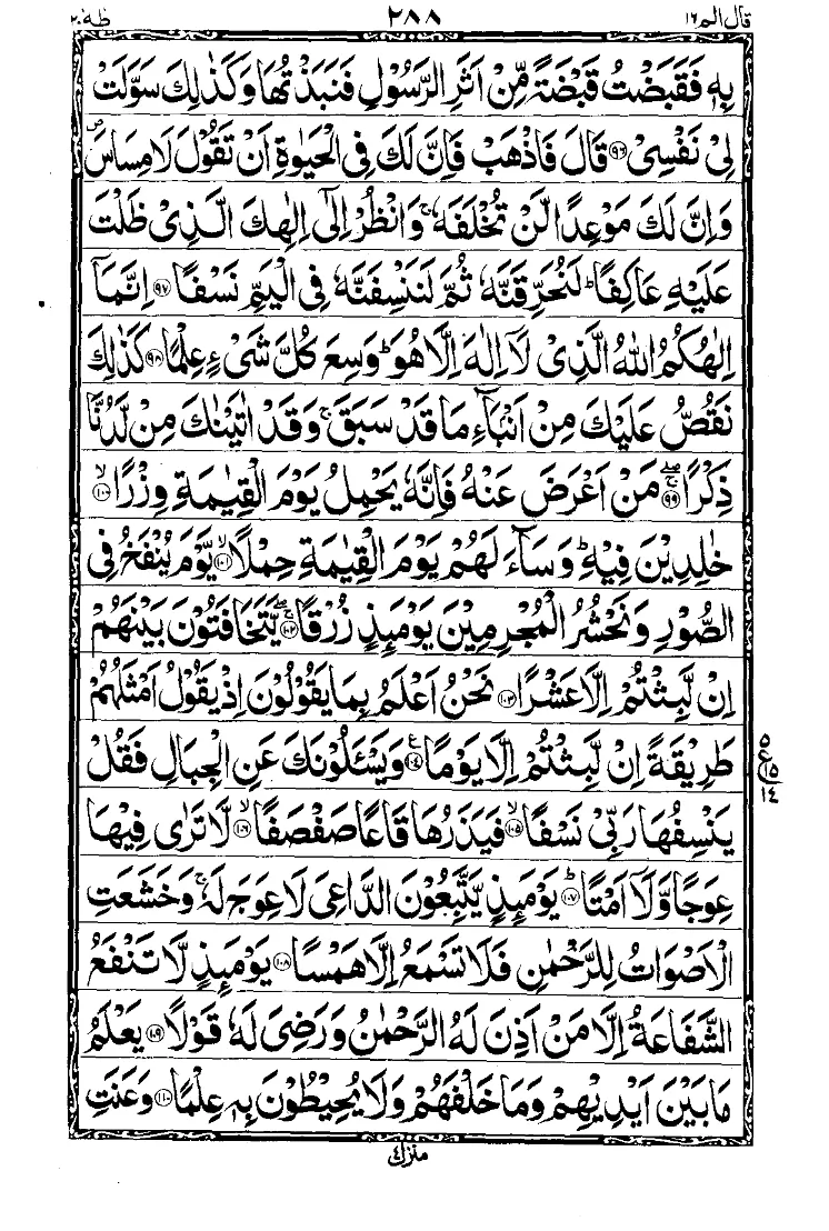 Para 16 Page 16