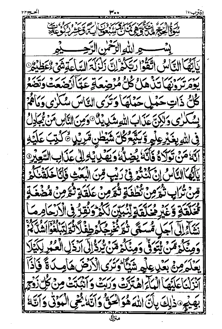 Para 17 Page 10