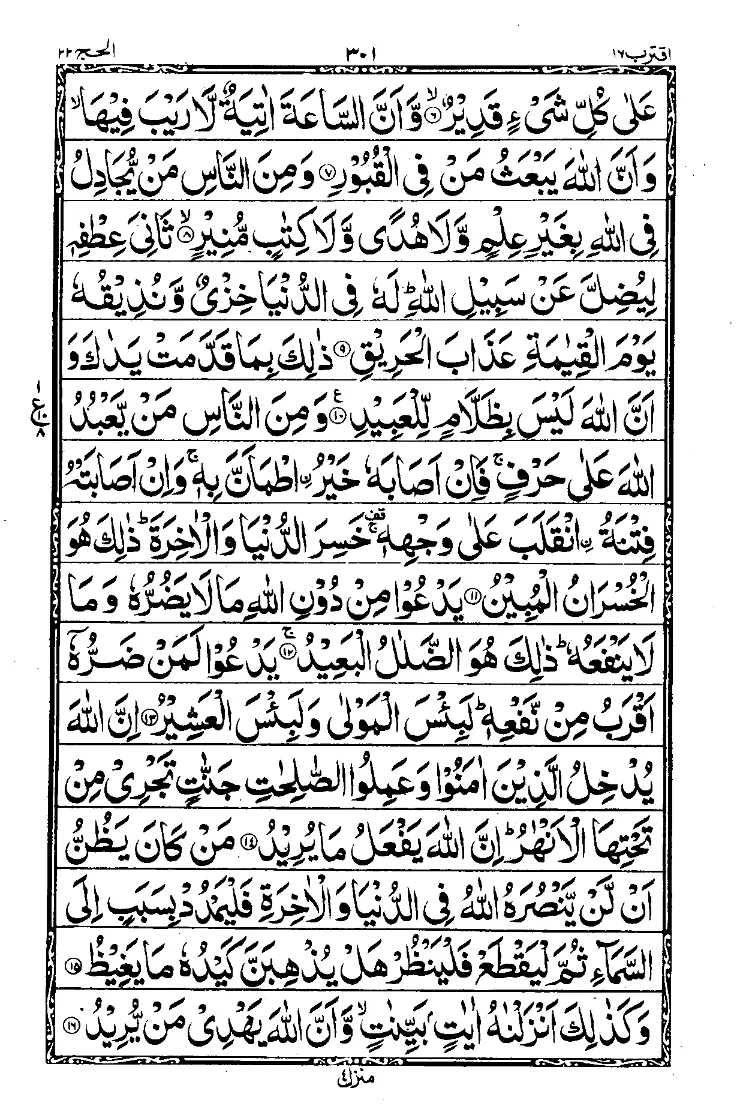 Para 17 Page 11