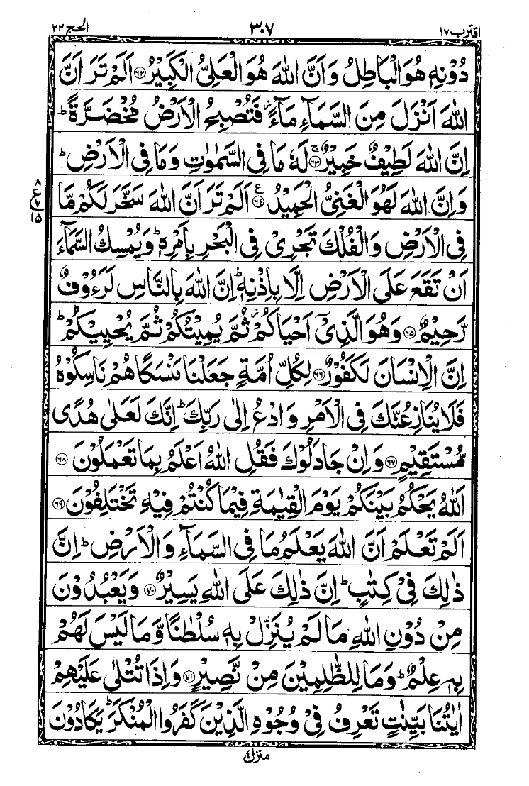 Para 17 Page 17
