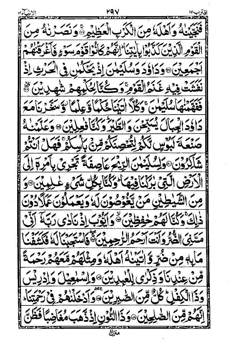 Para 17 Page 7