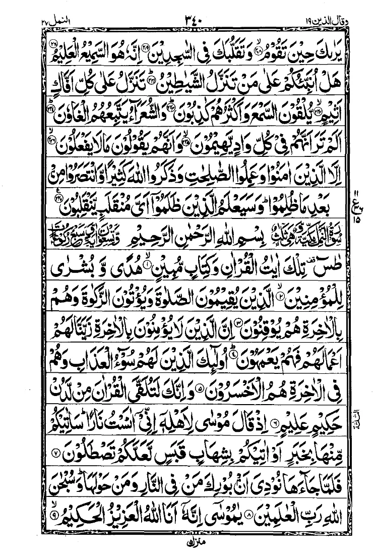 Para 19 Page 14