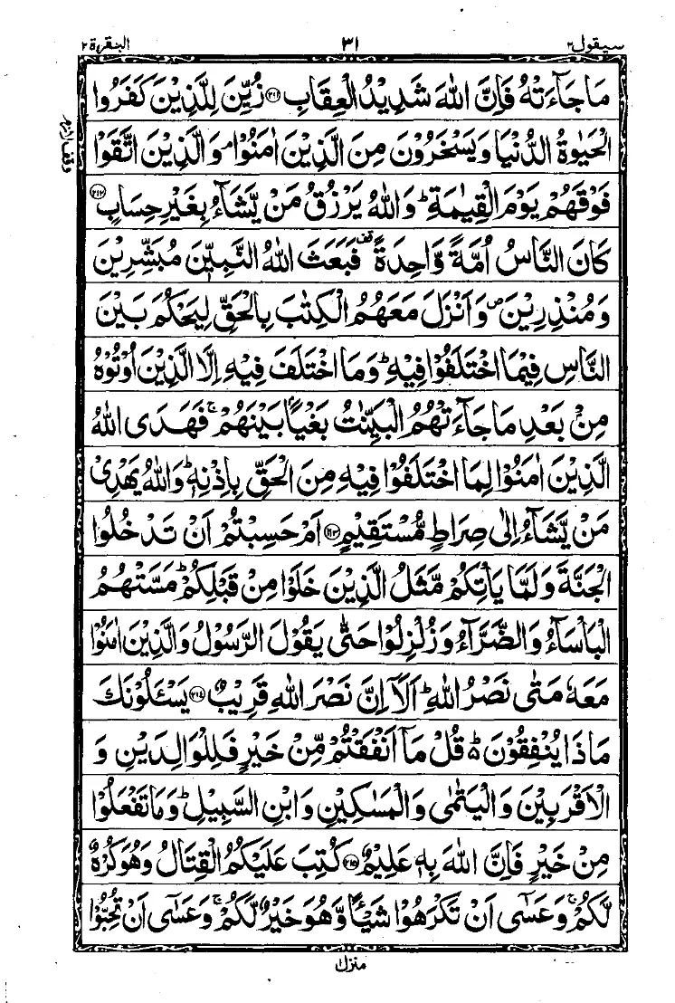 Para 2 Page 11