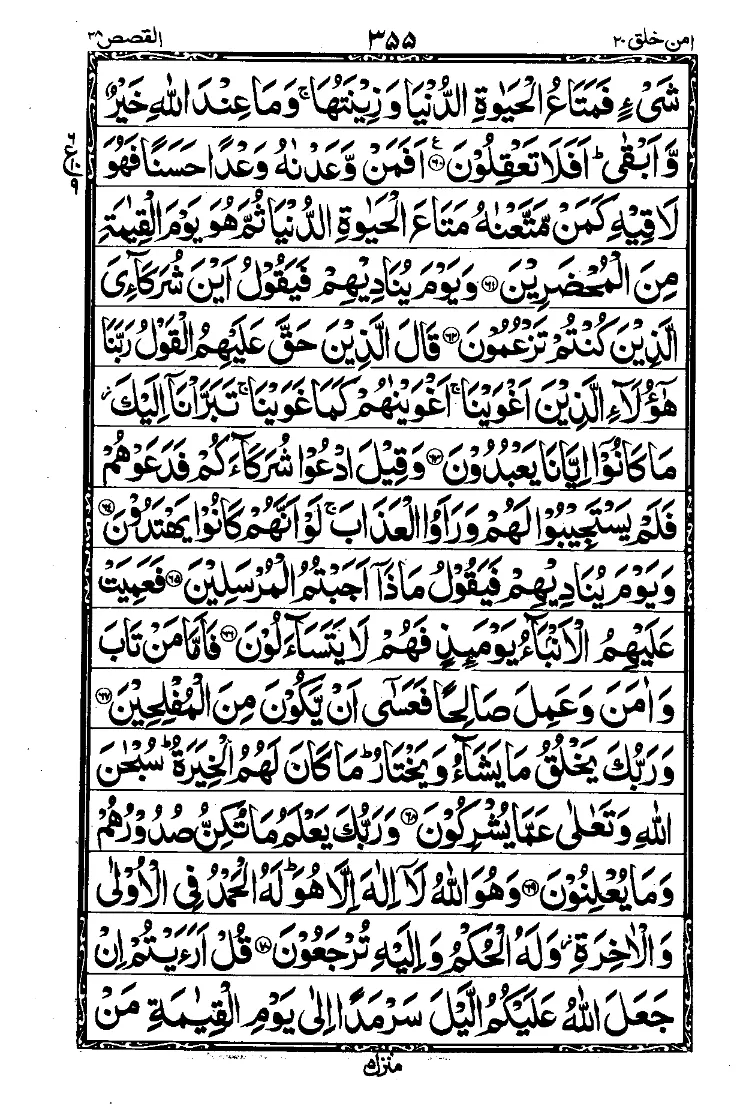 Para 20 Page 11