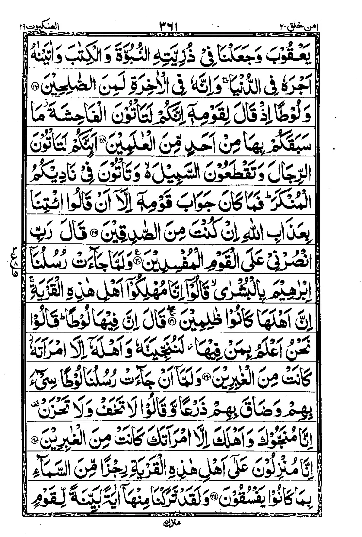 Para 20 Page 17