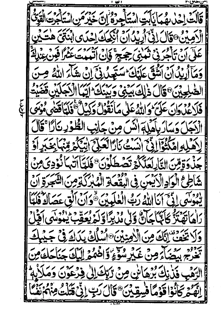 Para 20 Page 7