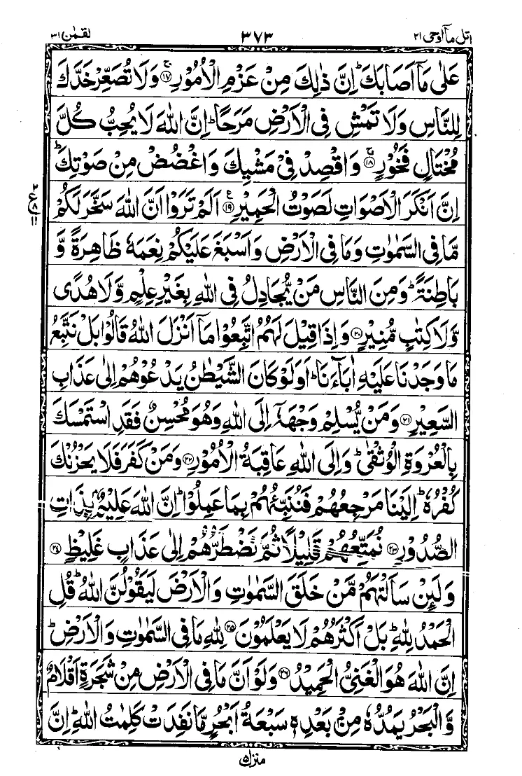 Para 21 Page 11