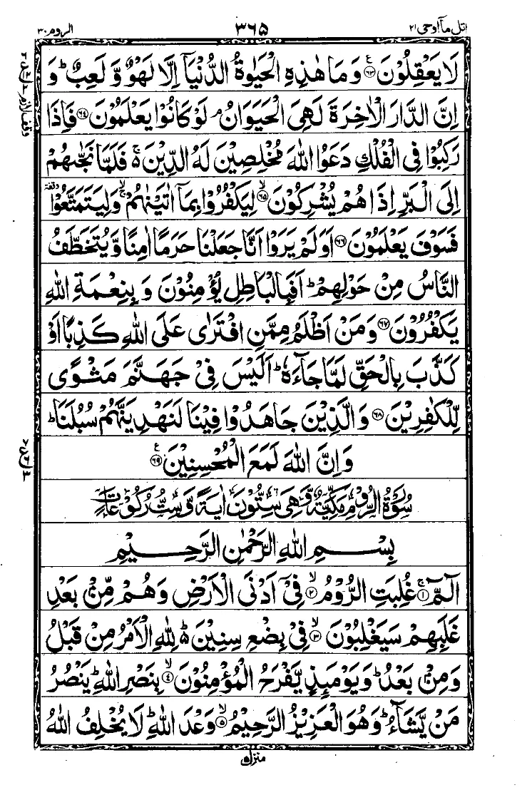 Para 21 Page 3