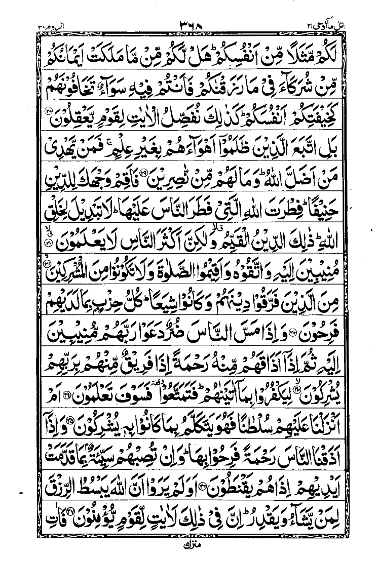 Para 21 Page 6