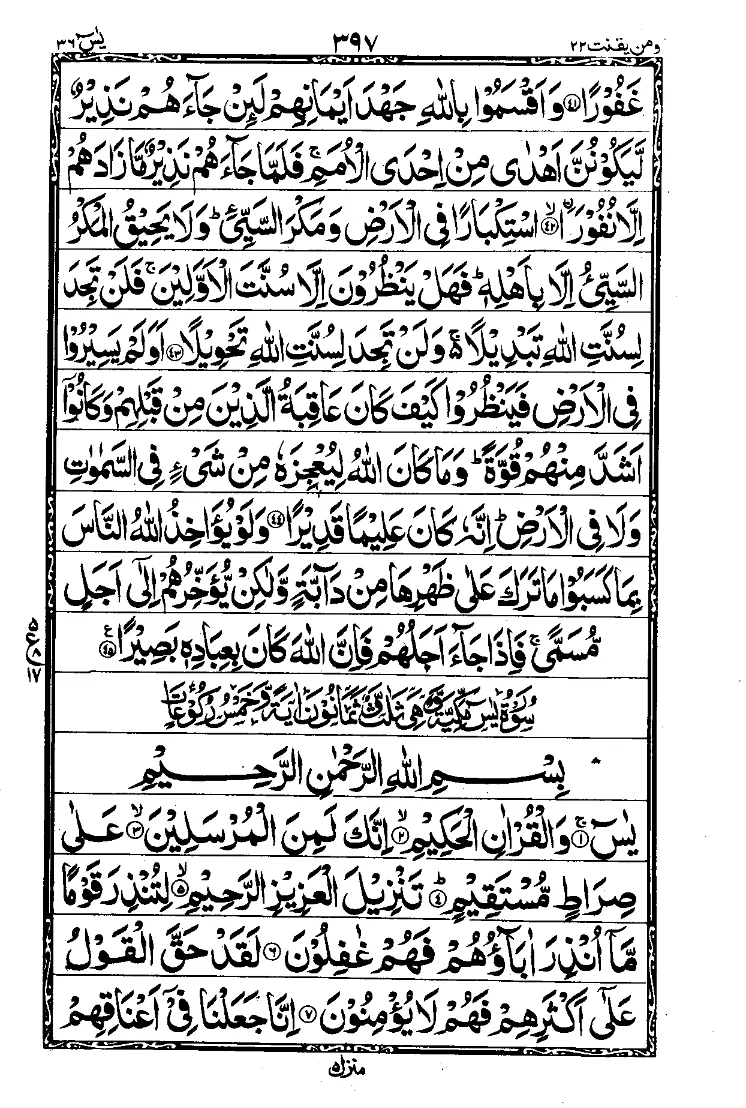Para 22 Page 17