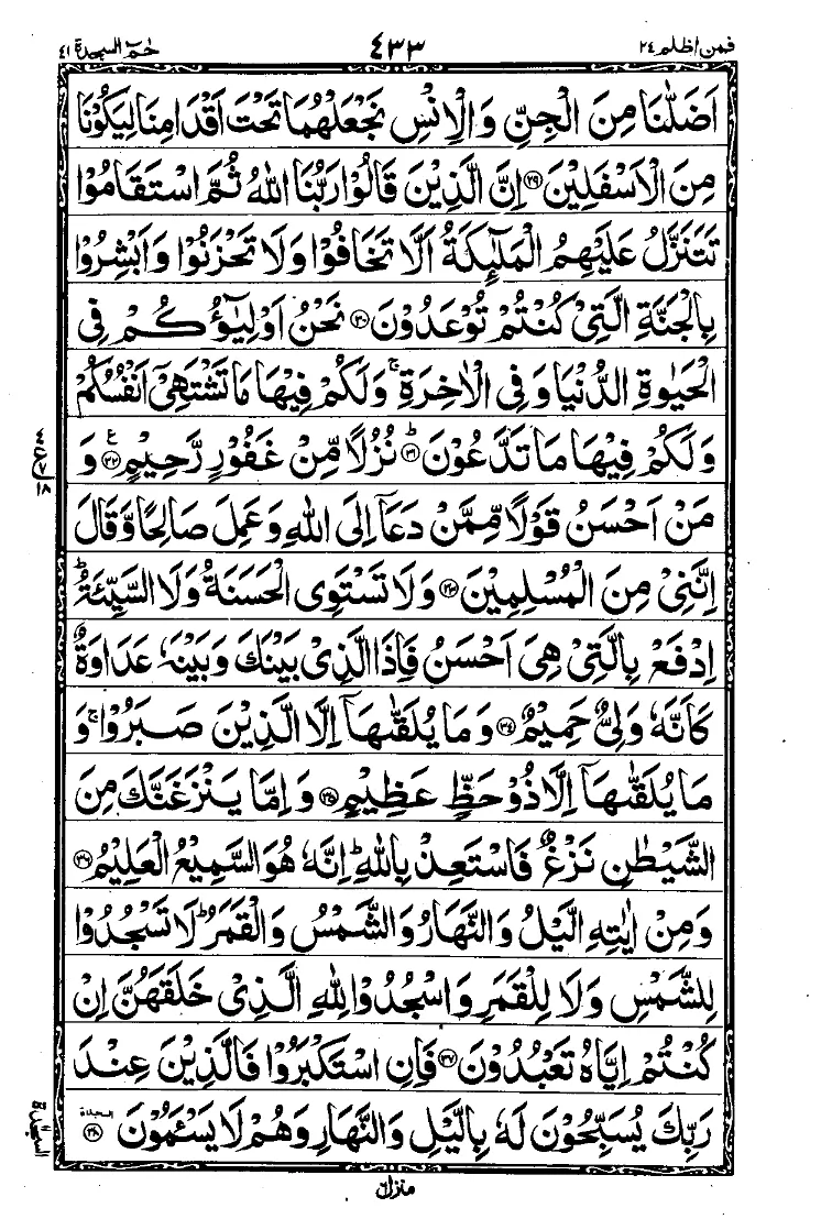 Para 24 Page 17