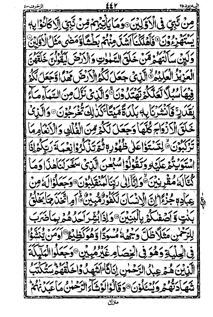 Para 25 Page 8