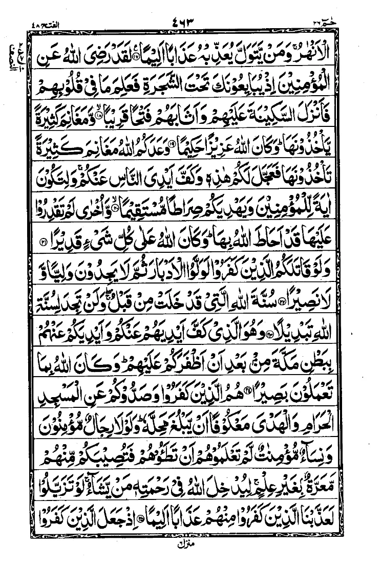Para 26 Page 11