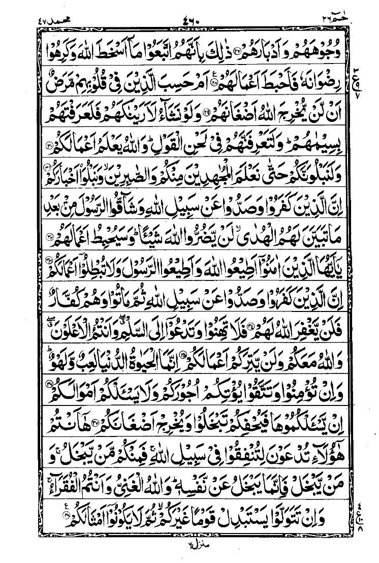 Para 26 Page 8