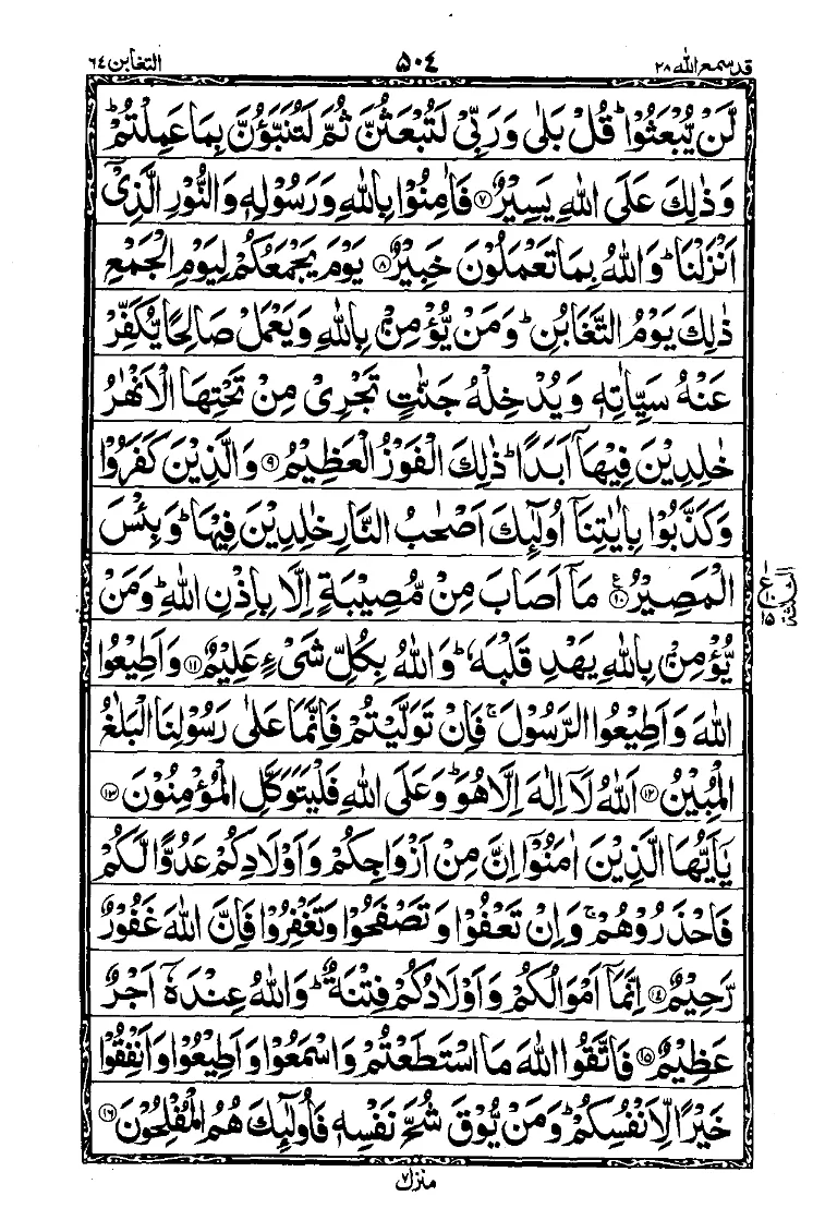 Para 28 Page 16