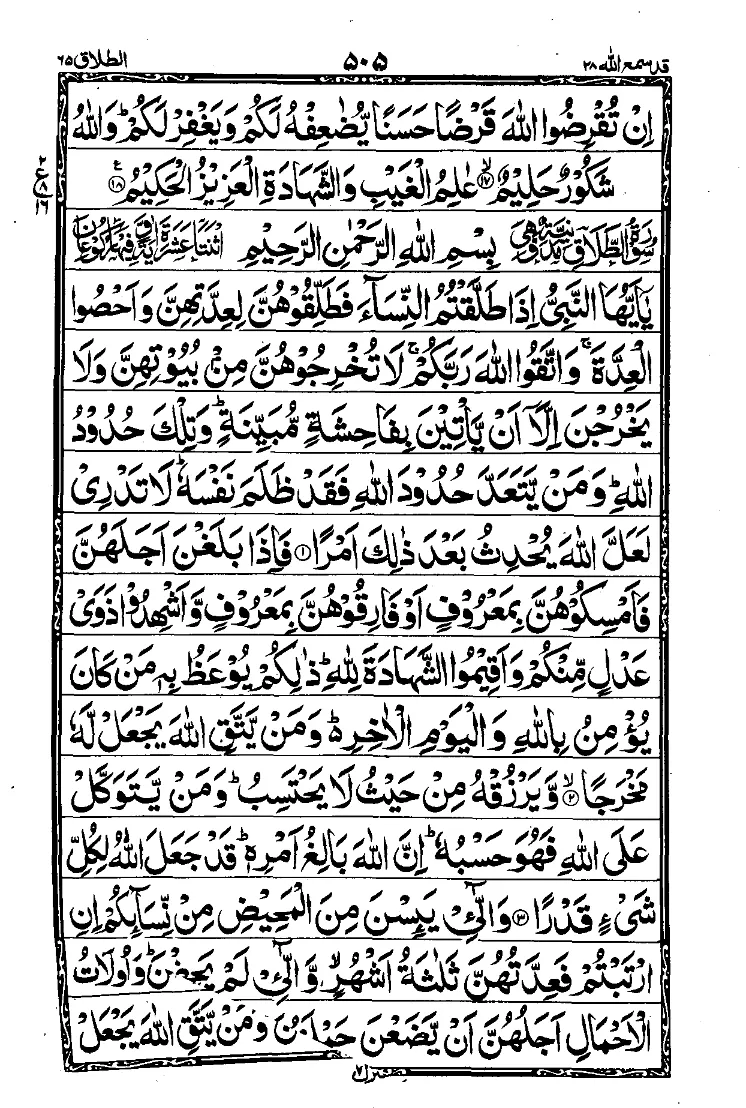 Para 28 Page 17