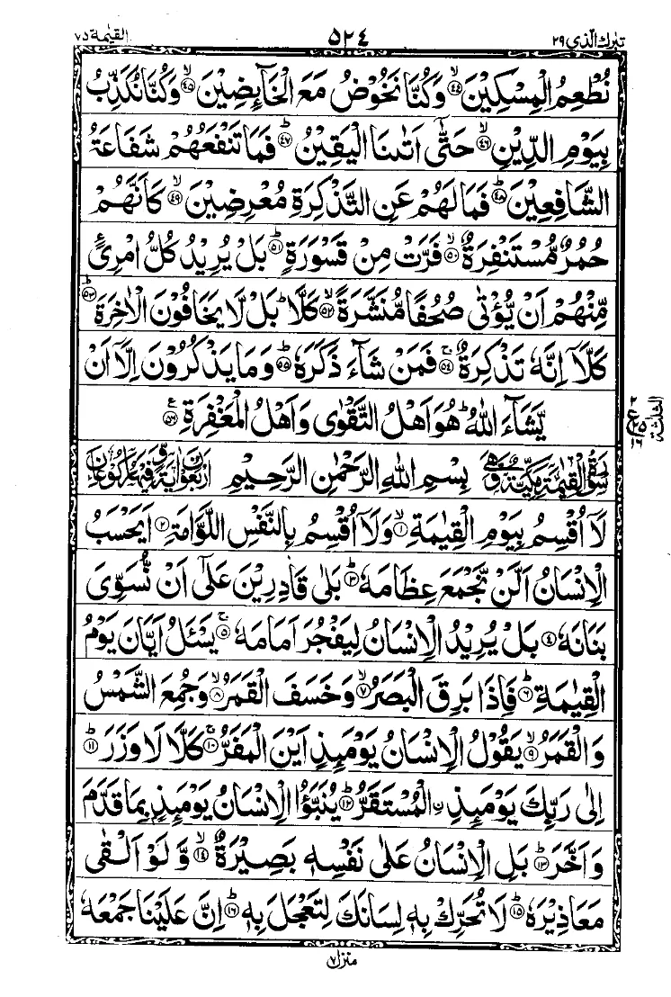 Para 29 Page 16