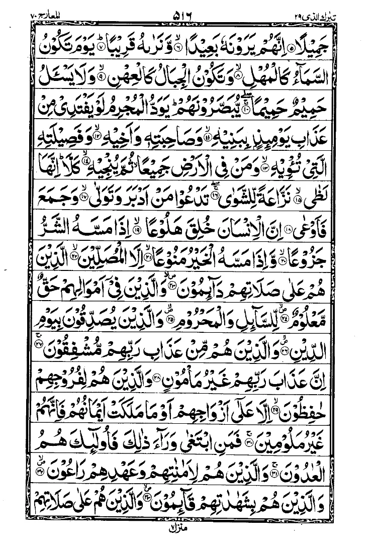 Para 29 Page 8