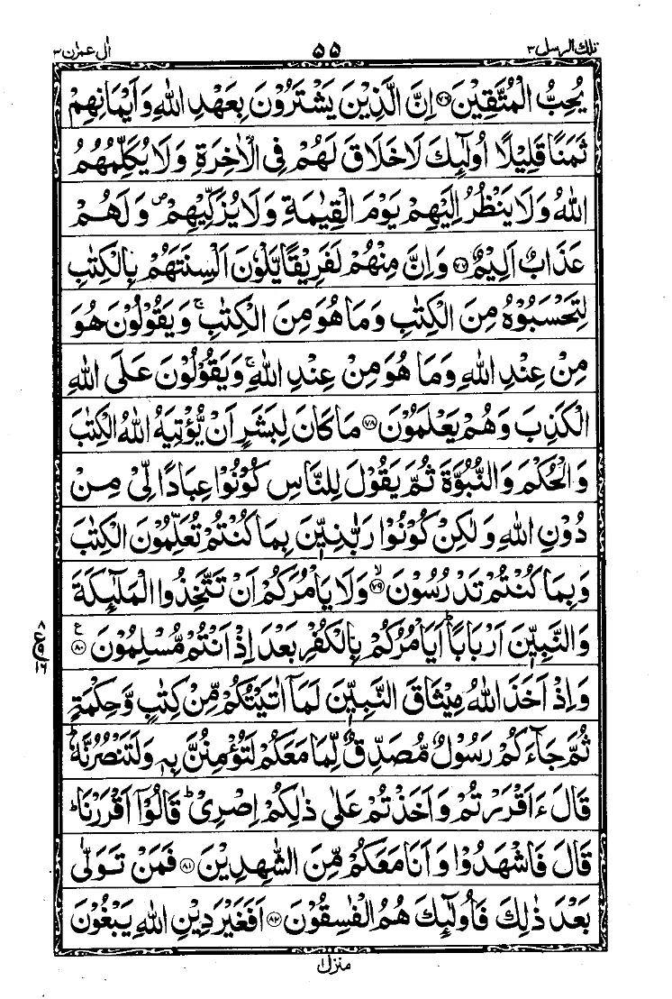 Para 3 Page 17