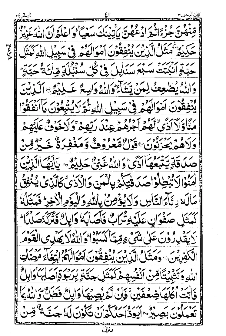 Para 3 Page 3