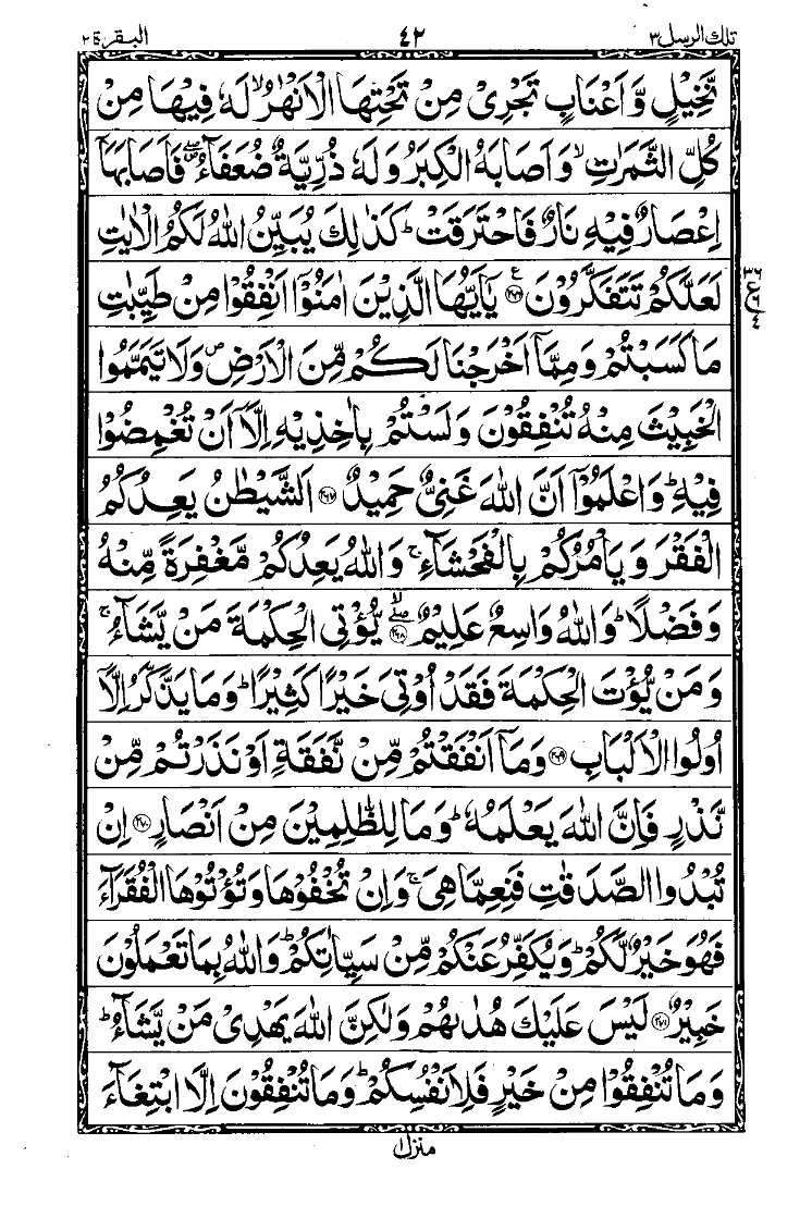 Para 3 Page 4