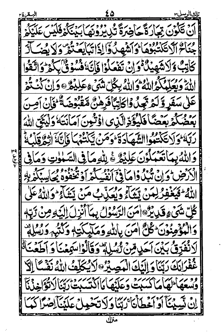 Para 3 Page 7