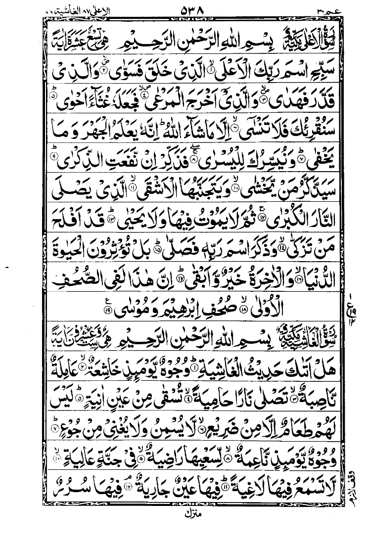 Para 30 Page 10