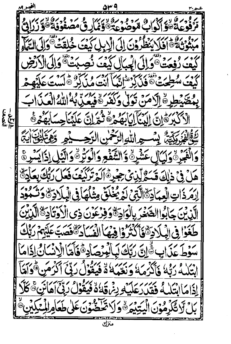 Para 30 Page 11