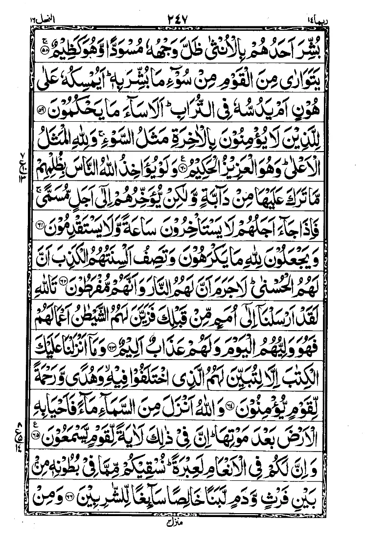 Surah An-Nahl 7